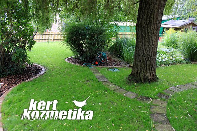 1. fűnyírás után az üde zöld fű (34)